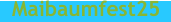 Maibaumfest25
