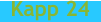 Kapp 24